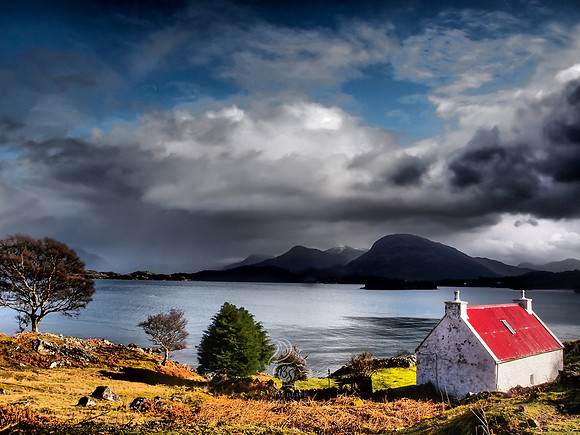 House with a view