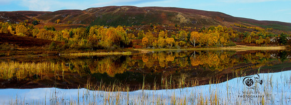 Loch na ba ruaidhe