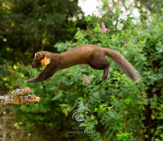 Jumping the gap