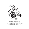 BStokoePhotography.co.uk